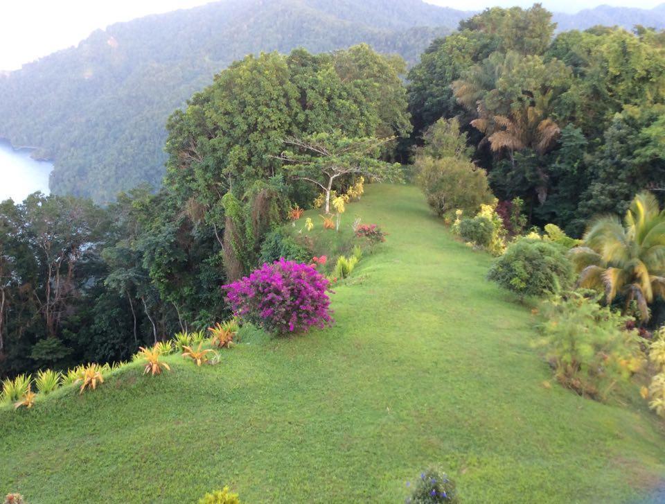 Mahogany Ridge Hotel Arouca Екстериор снимка