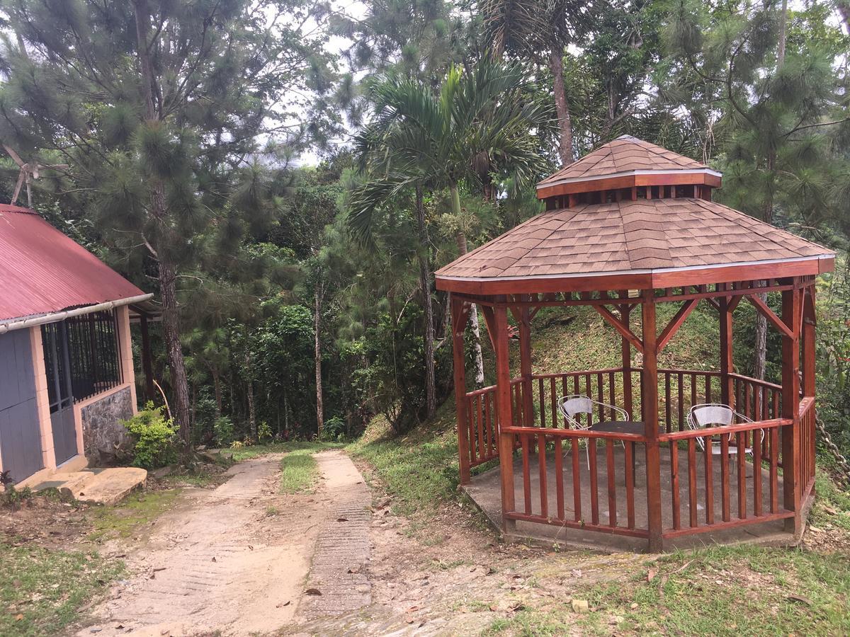 Mahogany Ridge Hotel Arouca Екстериор снимка